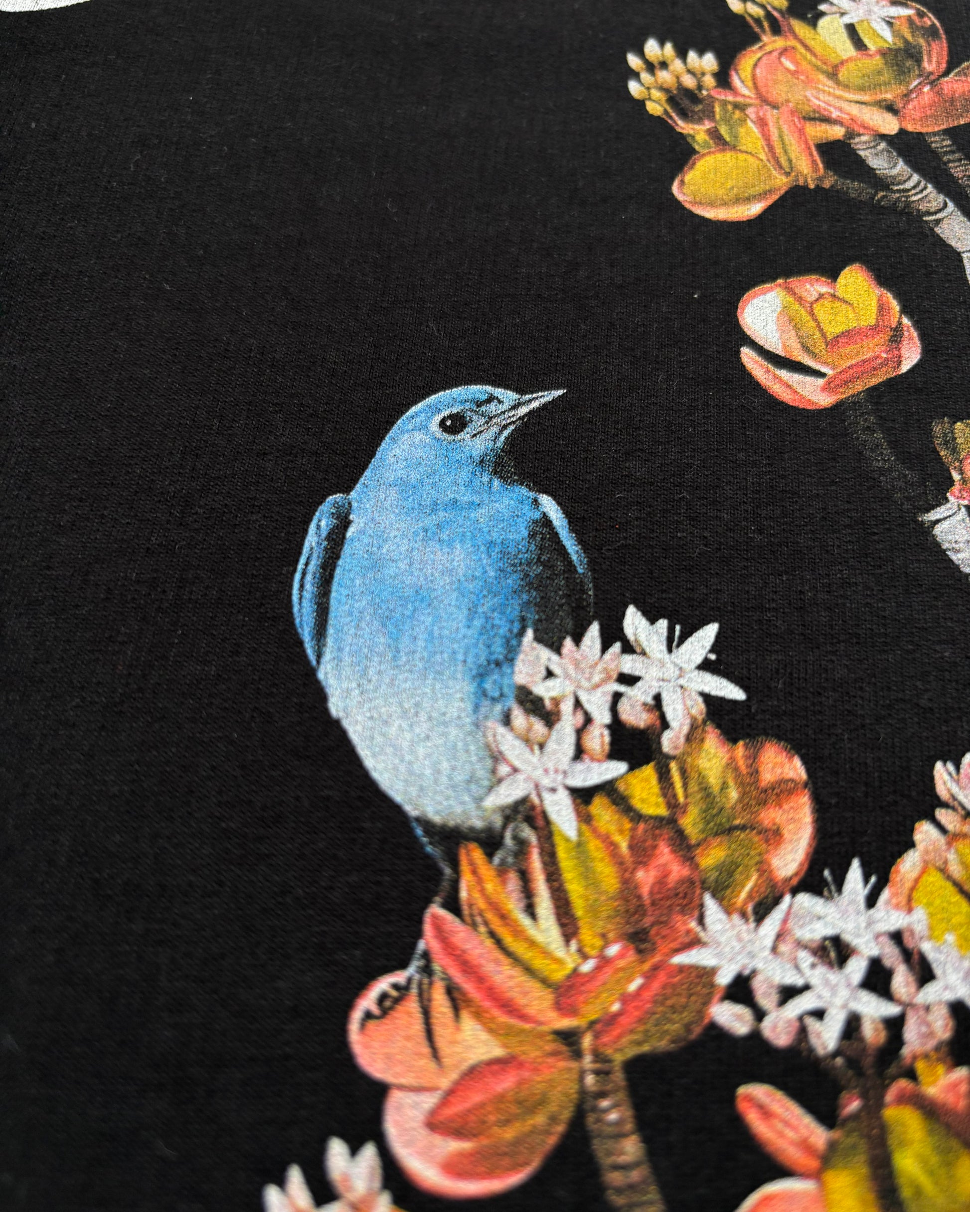 Can't Rush Greatness