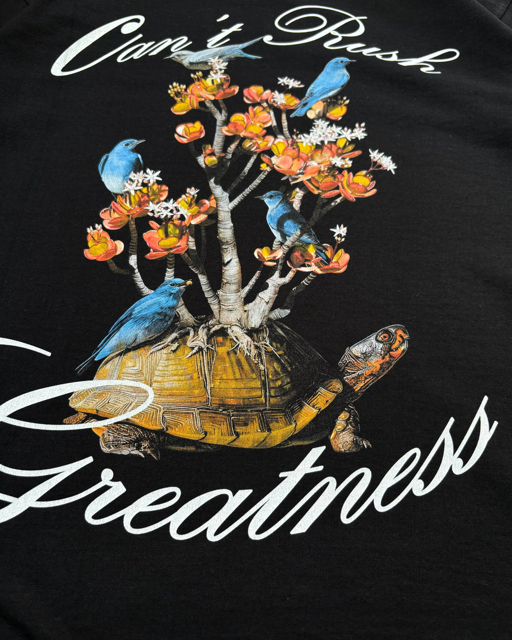 Can't Rush Greatness